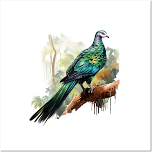 Nicobar Pigeon Posters and Art